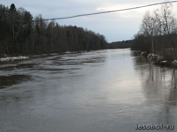 -20.04.2012.