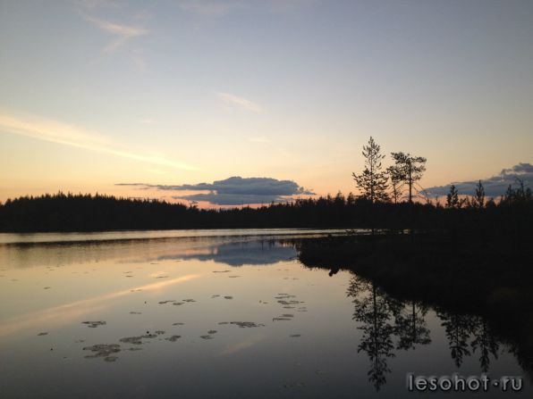 photo_00080.jpg