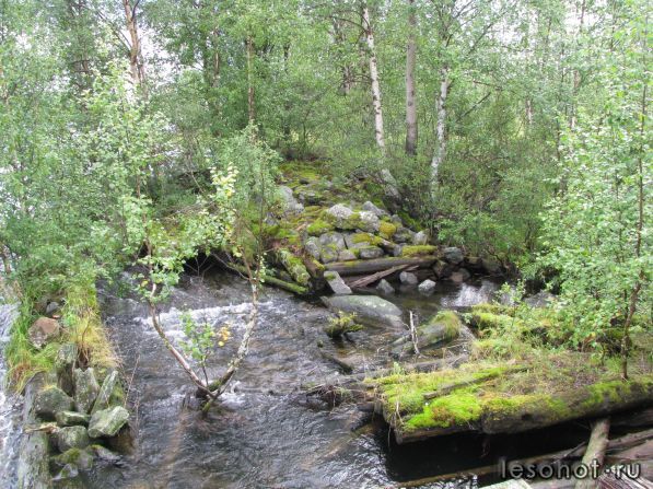 IMG_0870.JPG