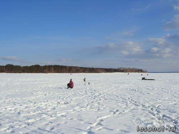 SDC19969.JPG