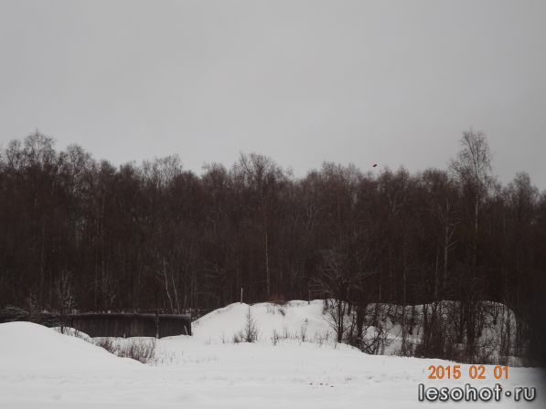 DSC02399.JPG