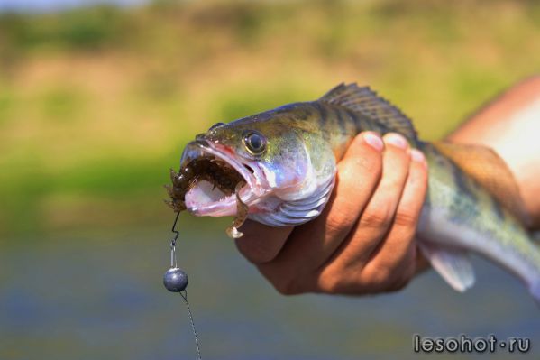 DSC_0025.JPG