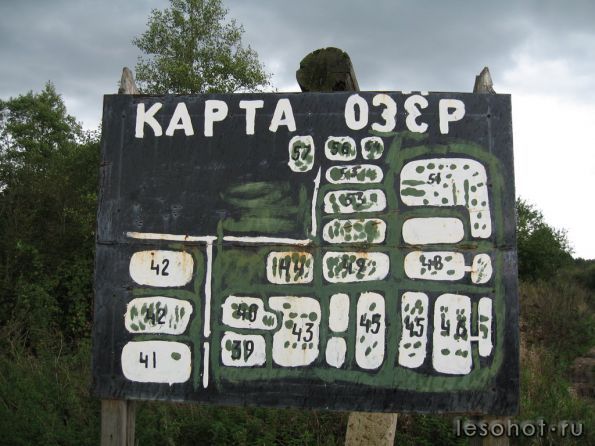22515329.jpg
