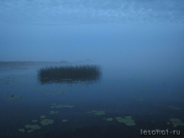 IMG_0799.JPG