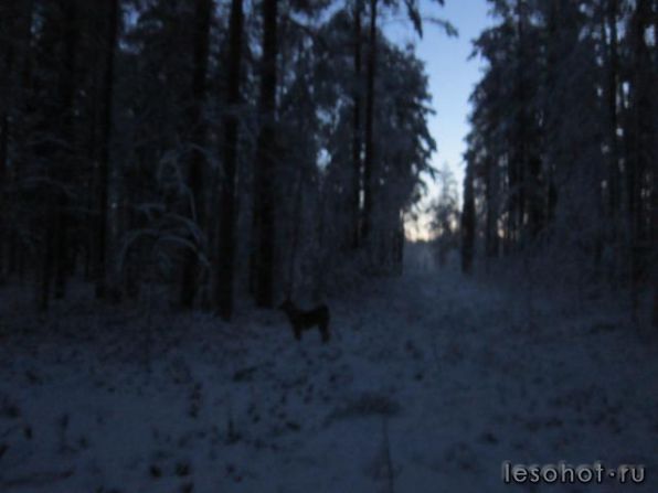 photo_00016.jpg