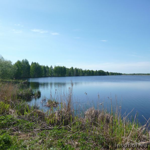 P1000311.JPG