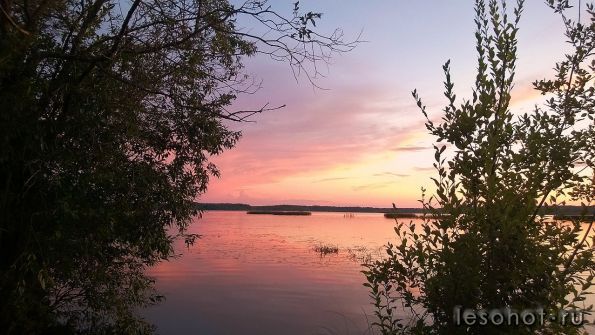 WP_20140730_028.jpg
