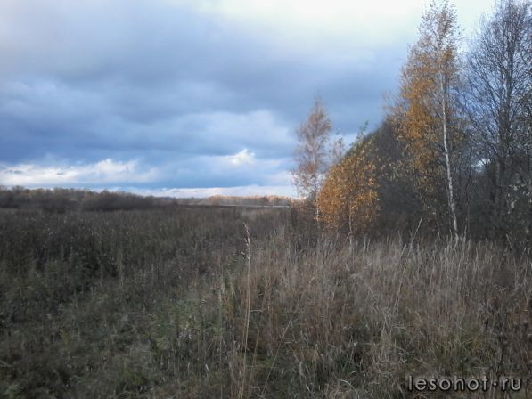20141011_143948.jpg