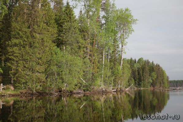2014-05-31 08-14-55.JPG