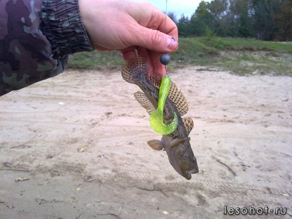 20102011066.jpg