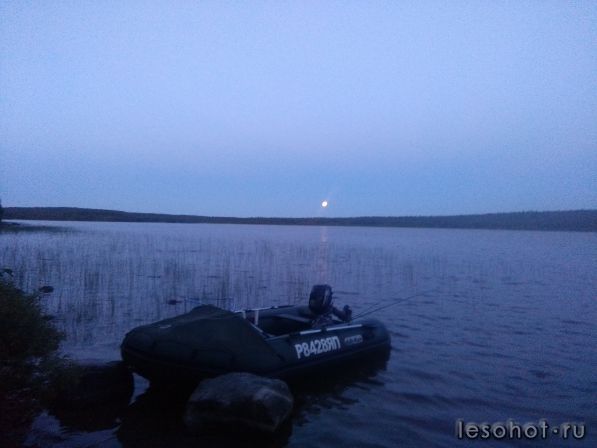 IMG_20170808_222848.jpg
