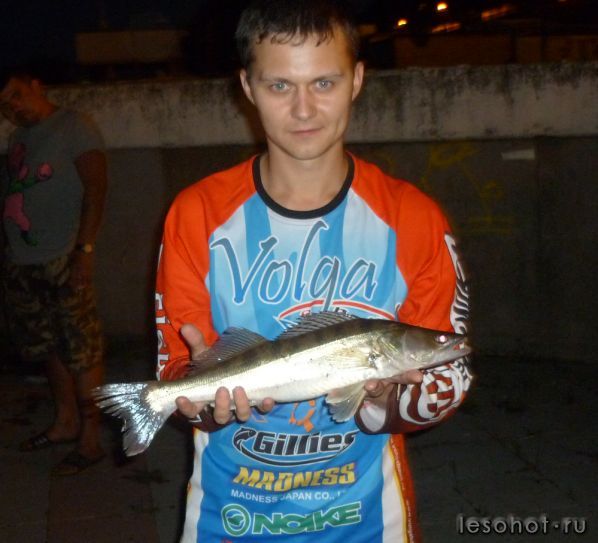 P1010709.png