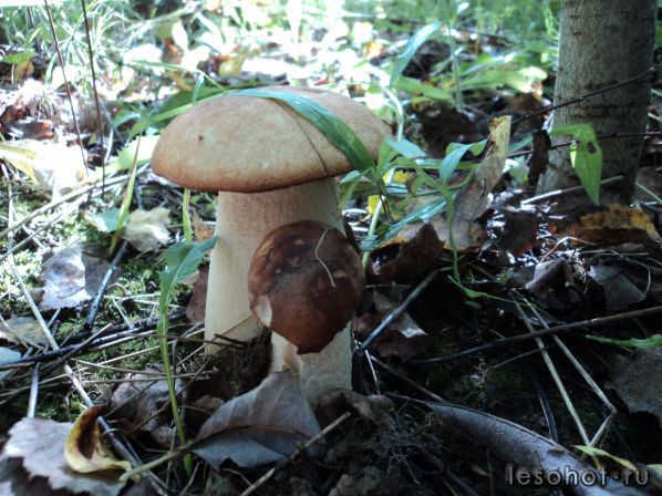 DSC01455.JPG