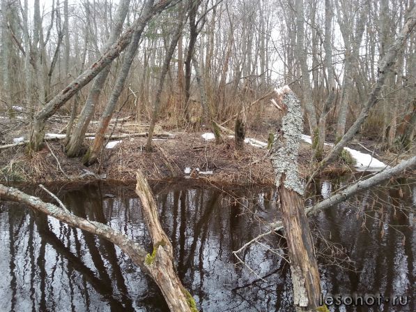 20140325_165657.jpg