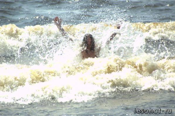 DSC_9337.jpg