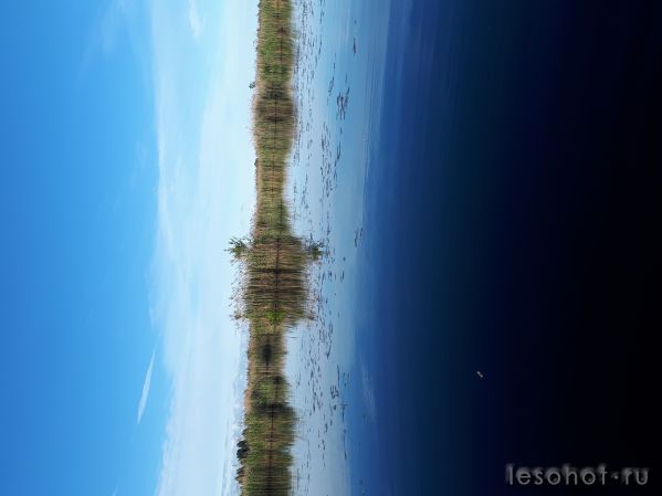 20180614_062106.jpg