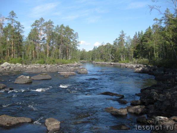 z_01f74726.jpg