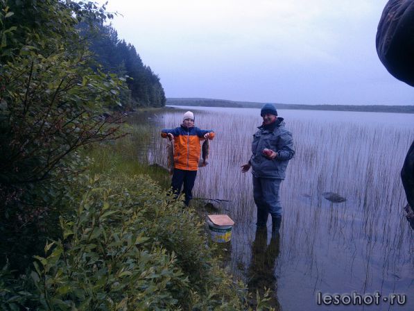 IMG_20170806_201437.jpg