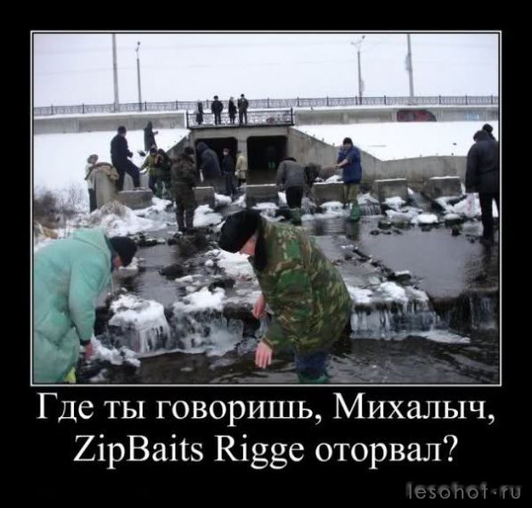 32906_l.jpg