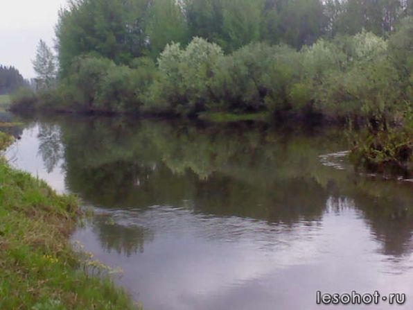 DSC00053.JPG