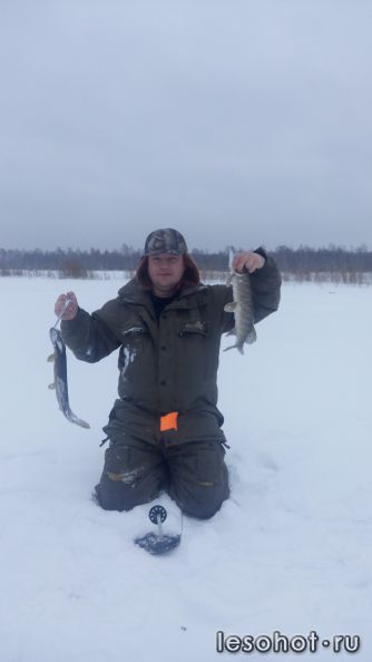 IMG_20141212_122455.jpg