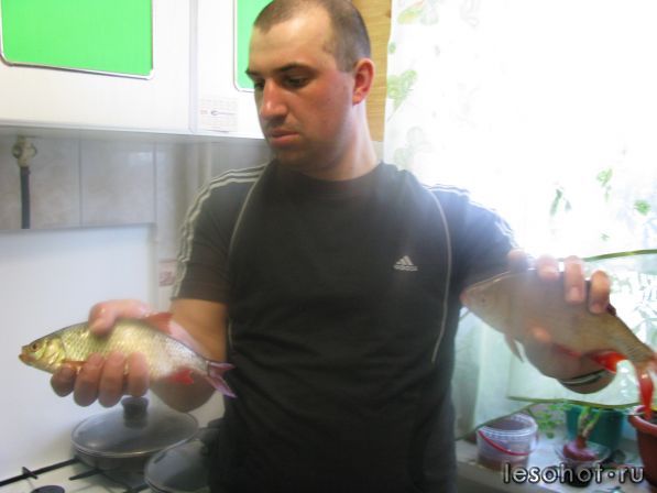 IMG_1728.jpg