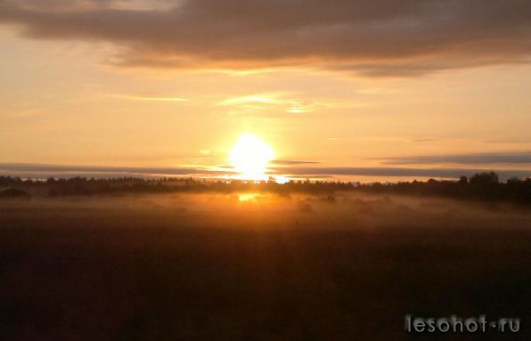 04092011226_1.jpg