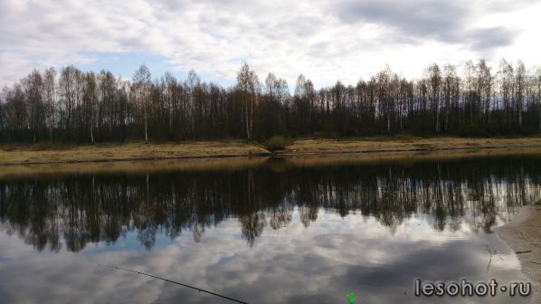 DSC_0138.JPG