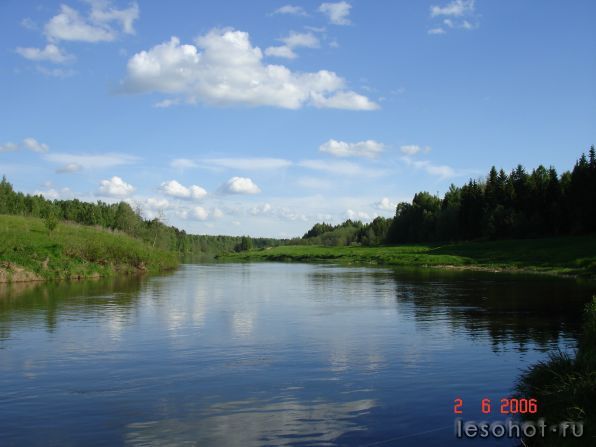  2006