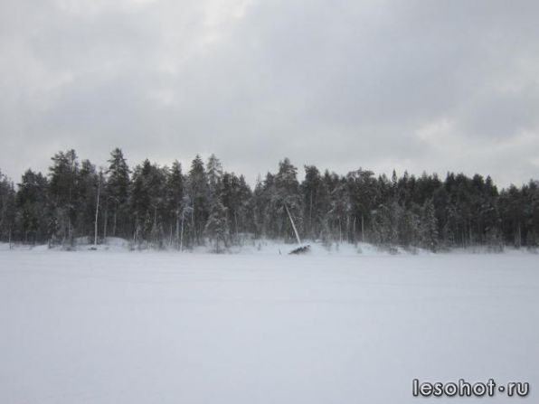 IMG_0839.JPG