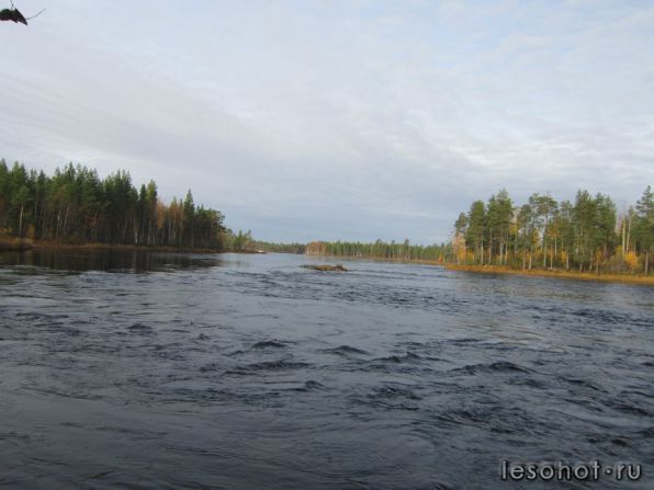 photo_00101.jpg