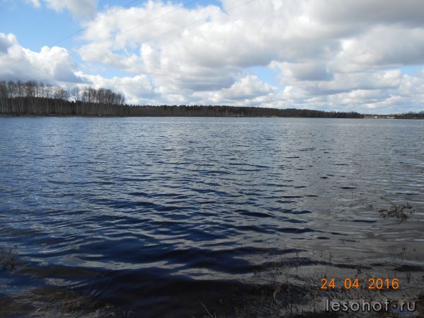 DSCN4937.JPG