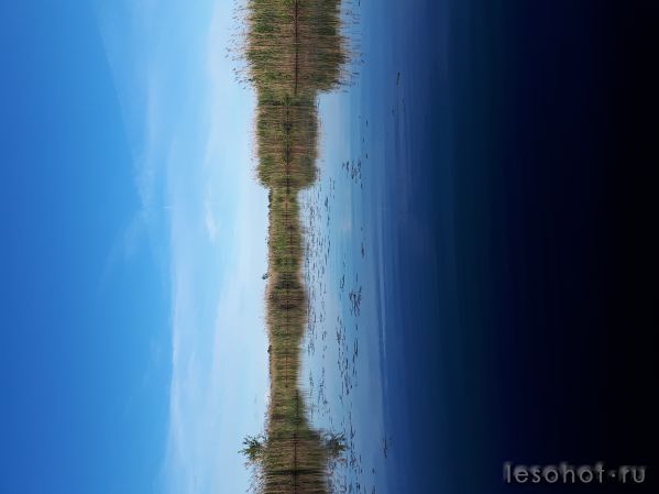 20180614_062108.jpg