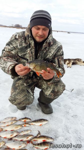 20150405_144137.jpg