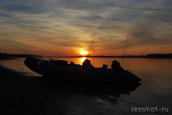 DSC_7523.JPG