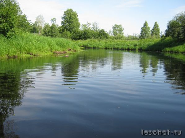 IMG_0230.JPG
