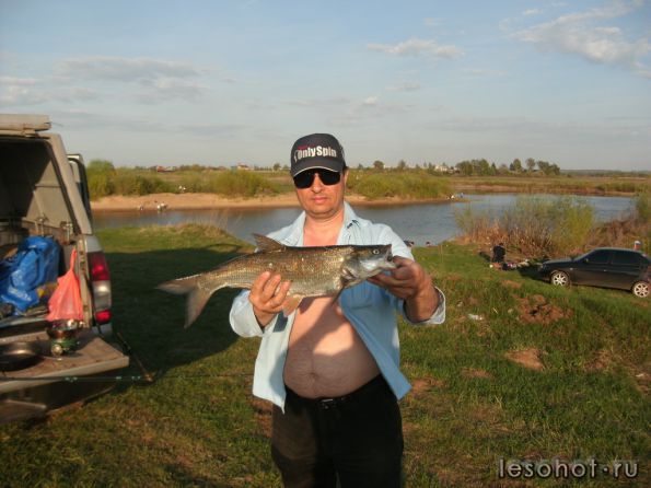 ������� 07.05.2016.jpg