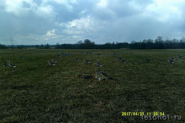image (1).jpg