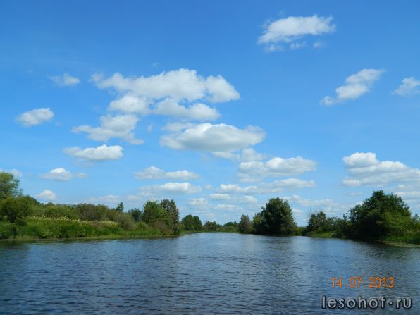 DSCN1631.JPG