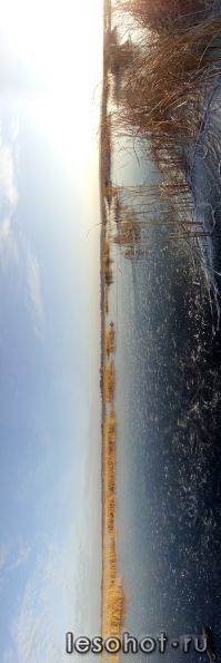 IMG_20141122_141039.jpg