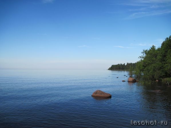 IMG_6474.JPG