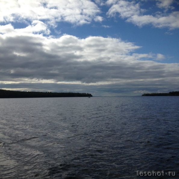 photo_00091.jpg