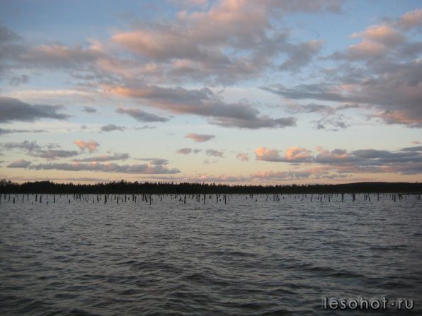 IMG_0195.JPG