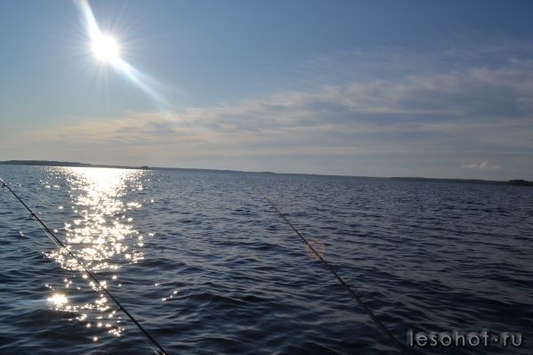 DSC_2660.JPG