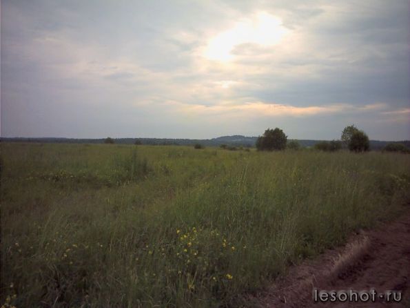 DMC_0419.JPG