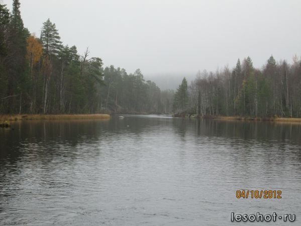 IMG_0113.JPG
