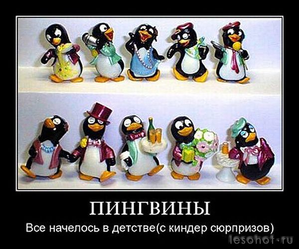 688cf591fc2c7ec6d0eeb40a2f7.jpg