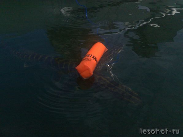 050920121737.jpg