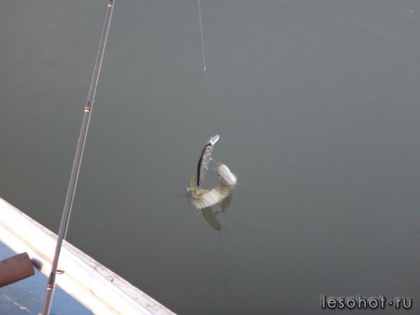 ����� 18.09.14 (13).JPG1.JPG