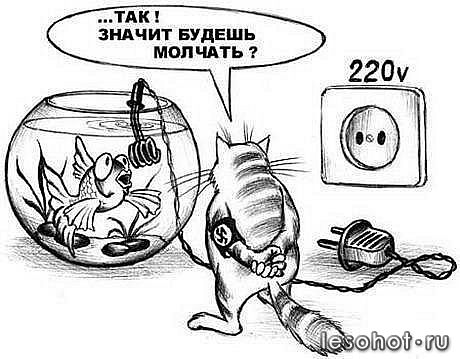 x_4a4de177[1].jpg